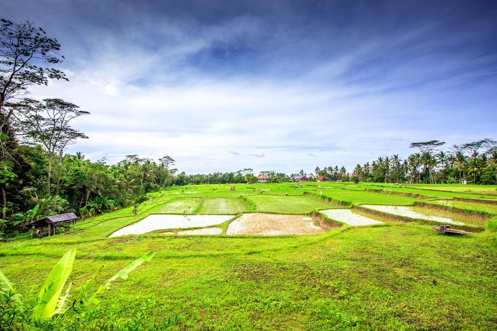 Villa Viola Убуд Экстерьер фото